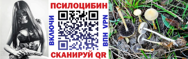купить наркоту  shop клад  Галлюциногенные грибы мицелий  Краснокаменск 