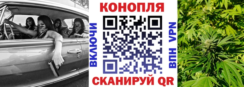 Марихуана сатива Краснокаменск